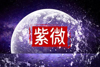 数字化紫微参考用法